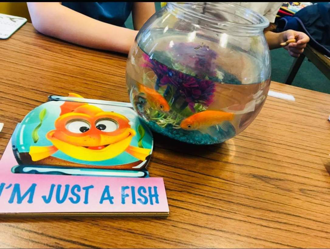 روضة ثانية 1