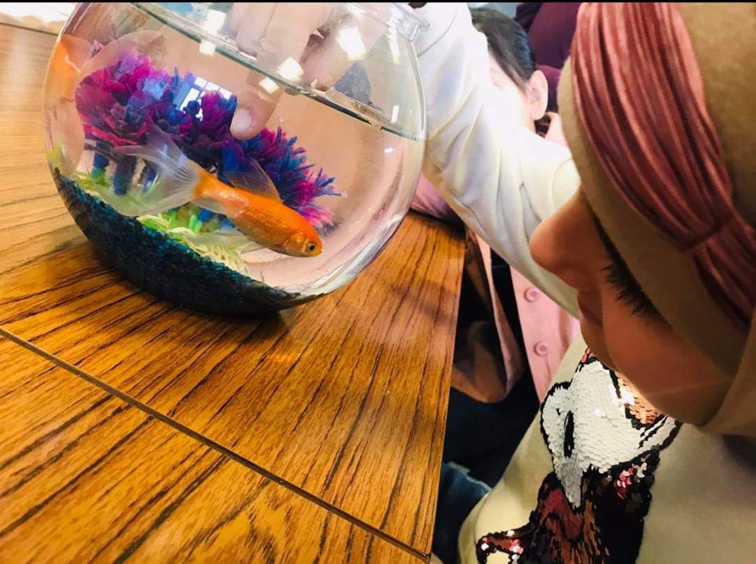 سمكة سما ثالث