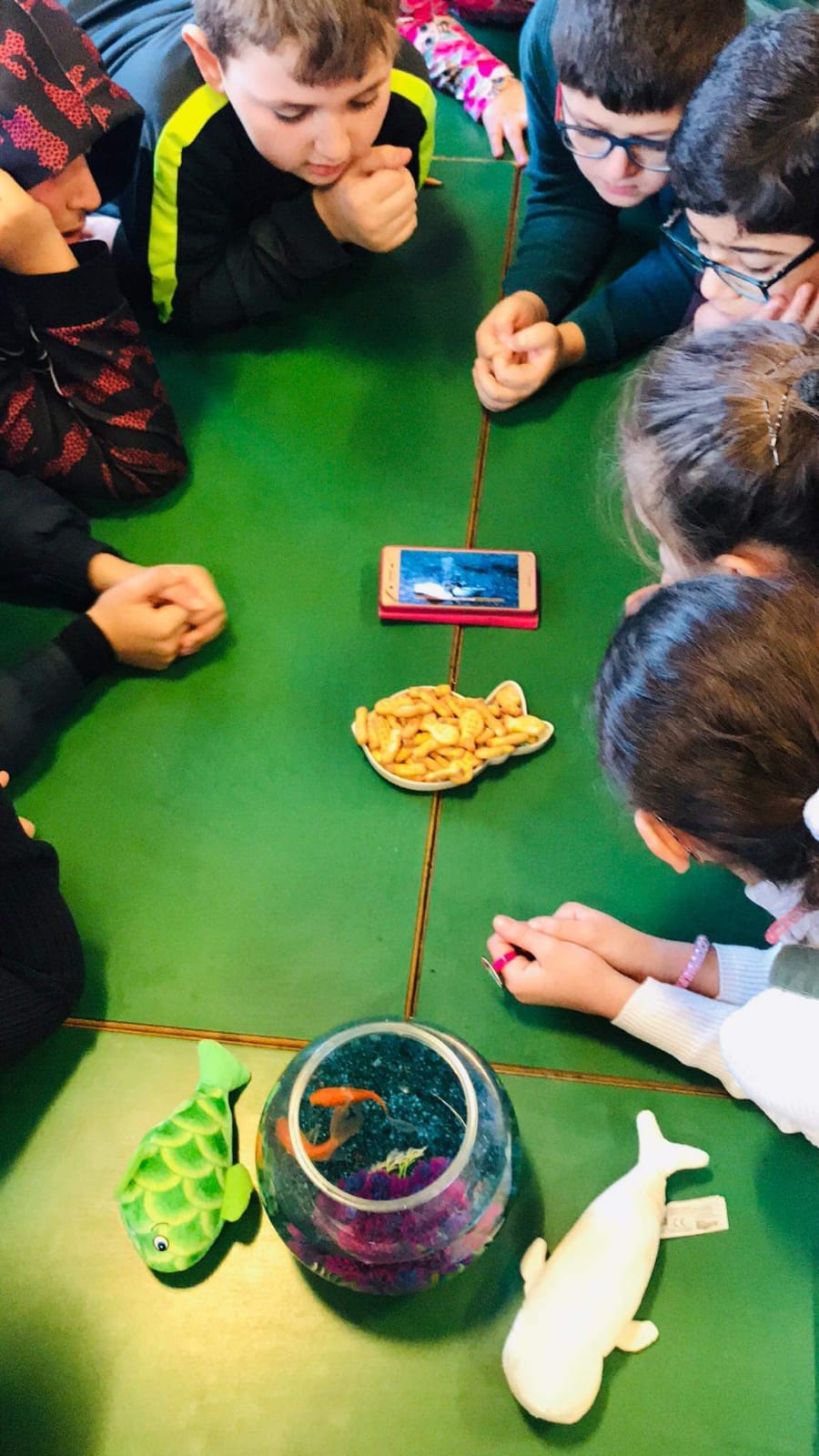 صف الثاني مشاهدة على التلفون