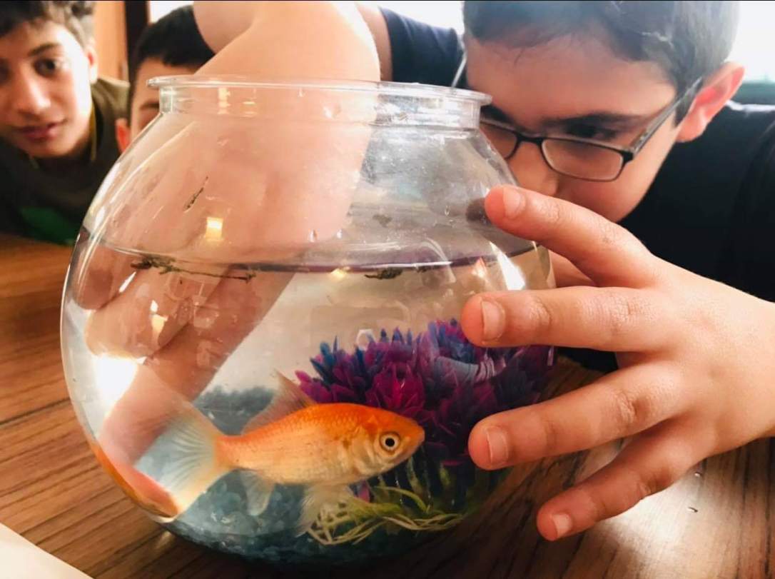 صف اول عبدالله