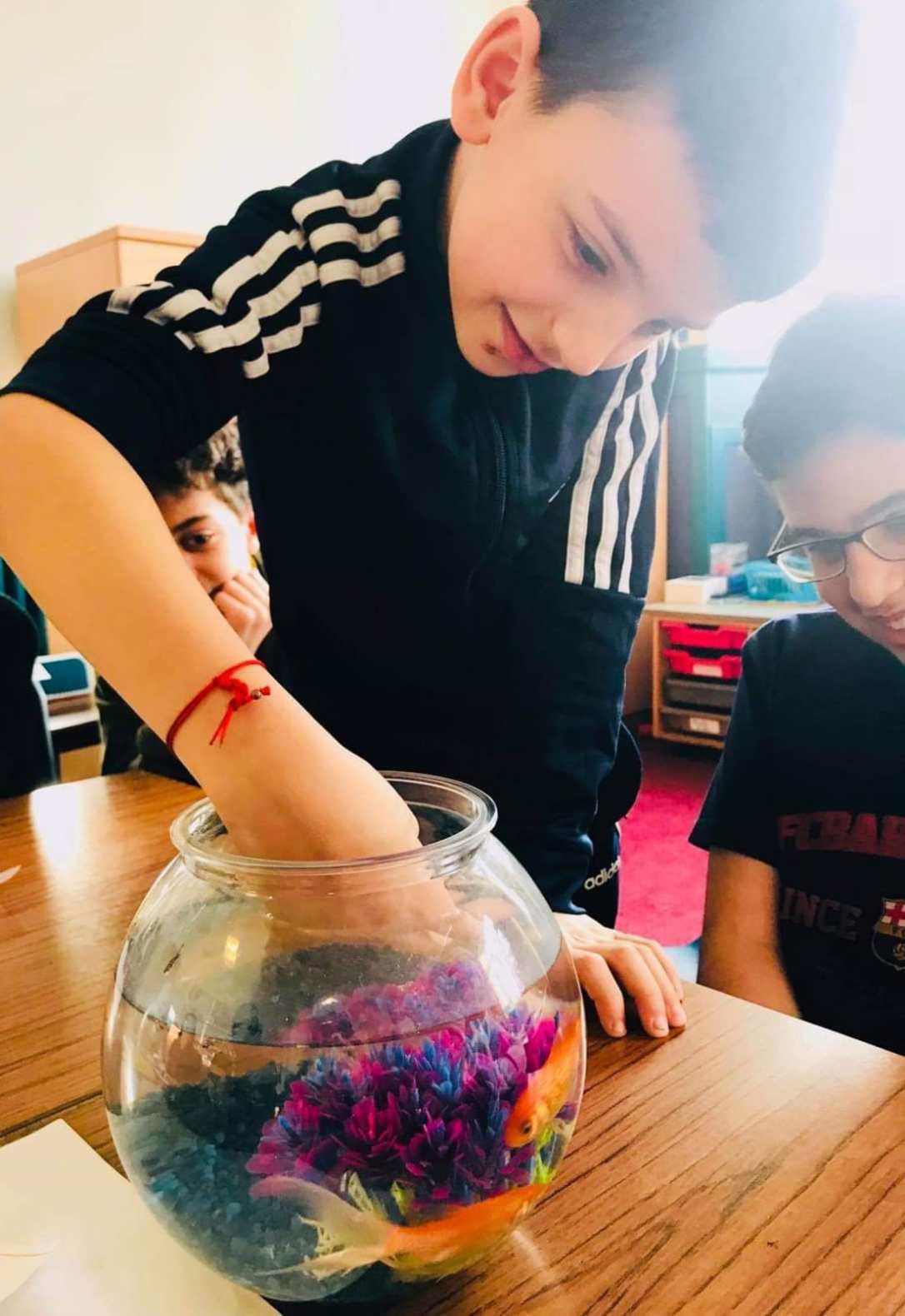 يعقوب عوض صف اول